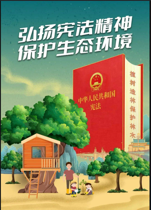Σշ롶̬䡷(ݰ)